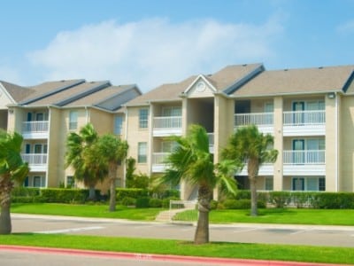 Buildings with palm trees