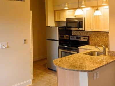 Richmond VA Blu Furnished Unit 2312 5