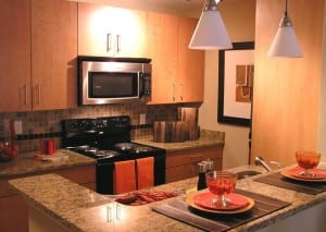 Corporate Apartment Rental Atlanta - Blu Inc (9)